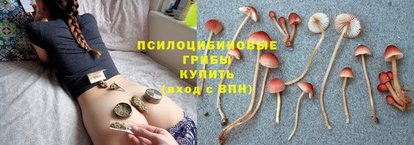 прущая мука Дмитров