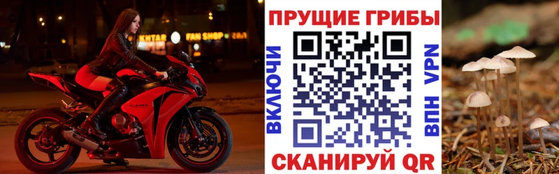 сайты даркнета как зайти  хочу   Миньяр  Псилоцибиновые грибы прущие грибы 